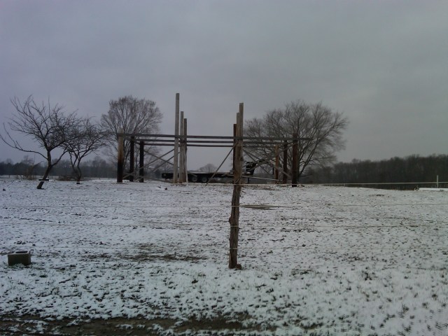 Barn in Progress
