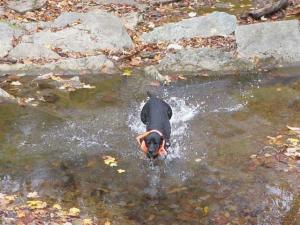 400244_415709925144744_608522978_n