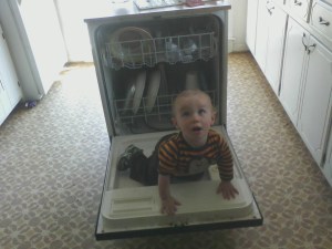 Dishwasher Jungle Gym