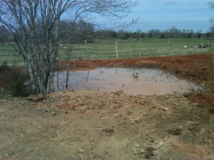 Redoing the pond