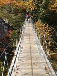 swinging bridge