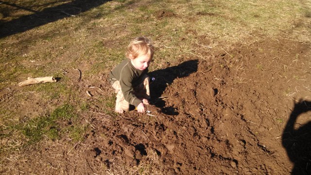 Digging