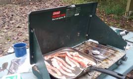 14522949_1066106836771713_6718516307595824538_n