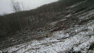 17094085_10155574183725656_53807449_n