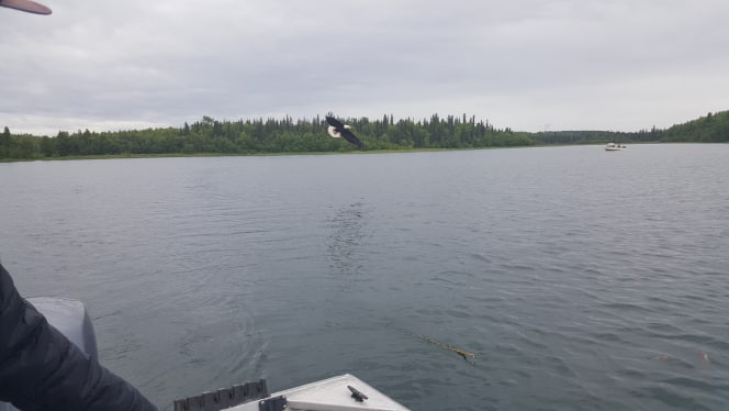 51112564_2244548939137228_155560210767806464_n