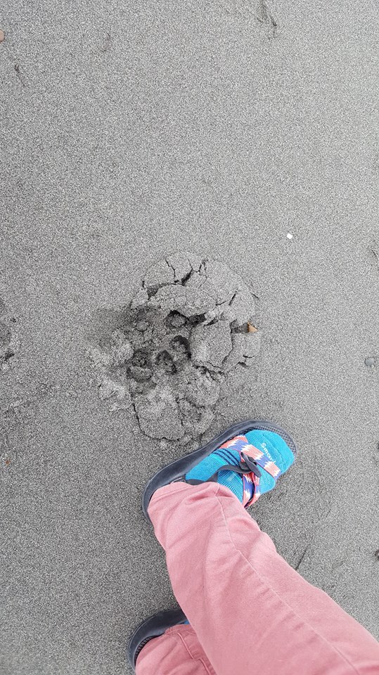 47438973_1108064469370755_1046634966839984128_n