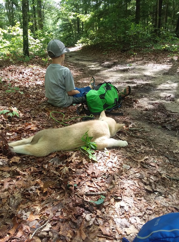 60083407_420272772086816_9084840765825220608_n