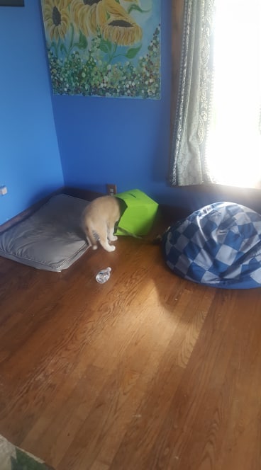 60309070_1348849808588980_1280368268204310528_n