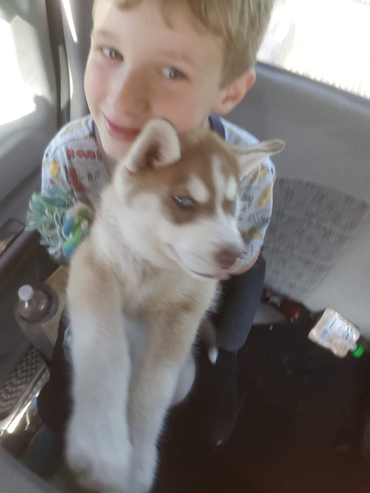 60338632_10157686322510656_2314450093610106880_n