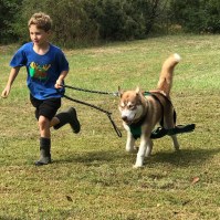 74410909_10157675443612008_1537949457084055552_n