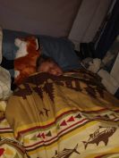 104334433_2627856787437863_7634367159744730849_n