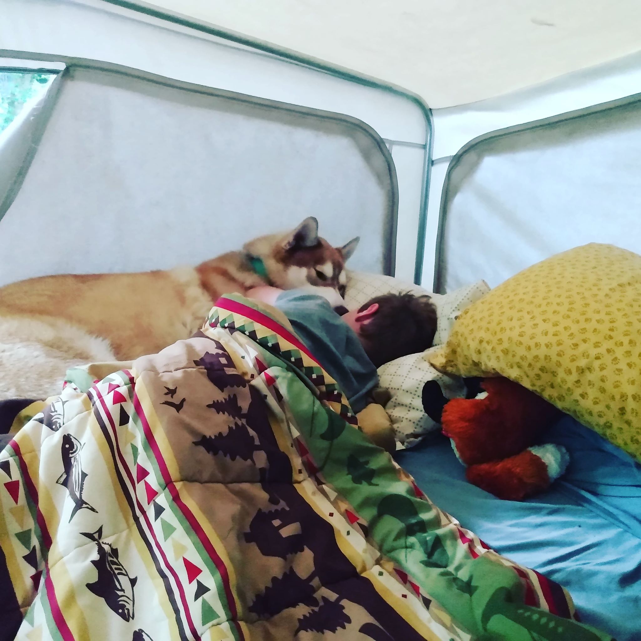 105296025_965915257196715_5794339629261624906_n